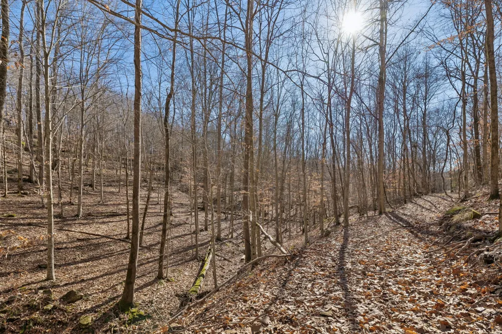 0 Hurricane Creek Road Linden, TN 37096