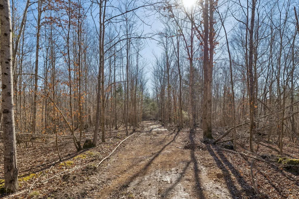 0 Hurricane Creek Road Linden, TN 37096