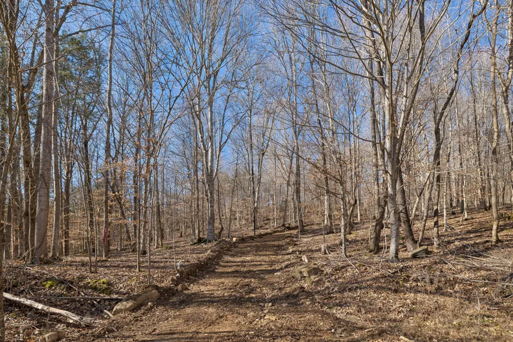 0 Hurricane Creek Road Linden, TN 37096