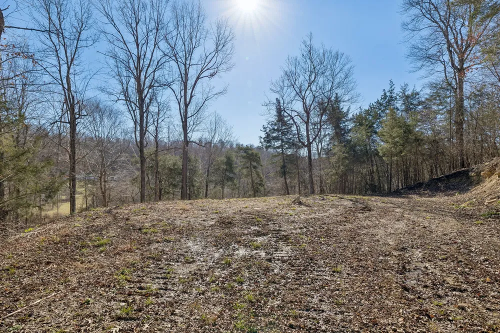 0 Hurricane Creek Road Linden, TN 37096