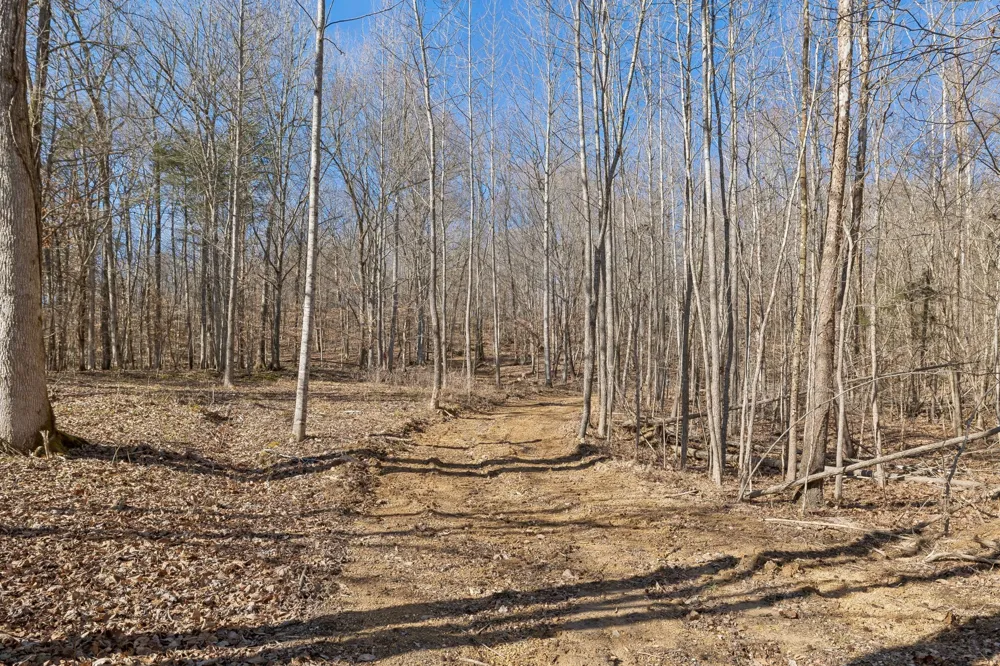 0 Hurricane Creek Road Linden, TN 37096