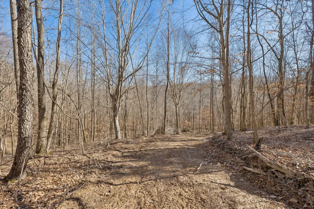 0 Hurricane Creek Road Linden, TN 37096
