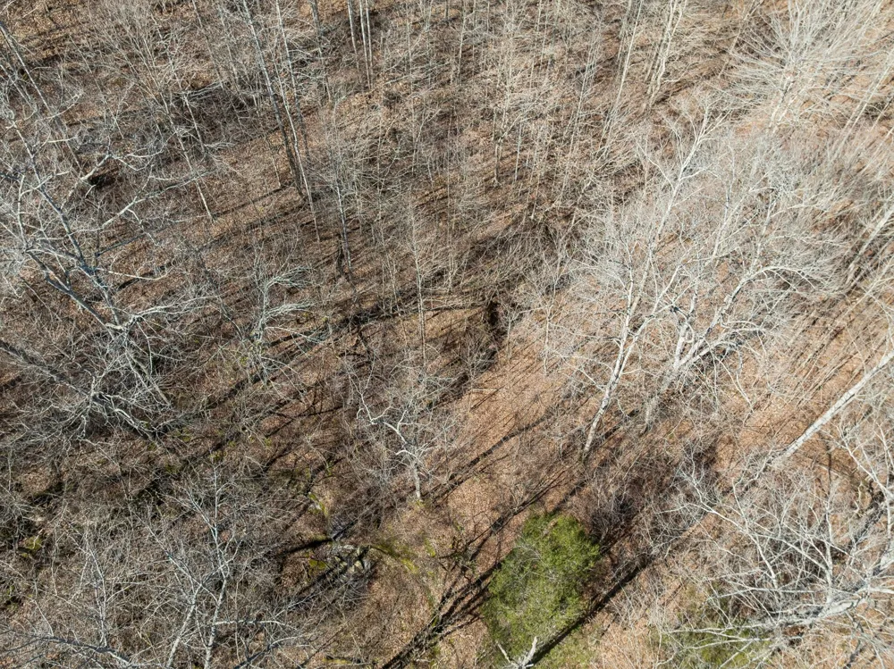 0 Hurricane Creek Road Linden, TN 37096