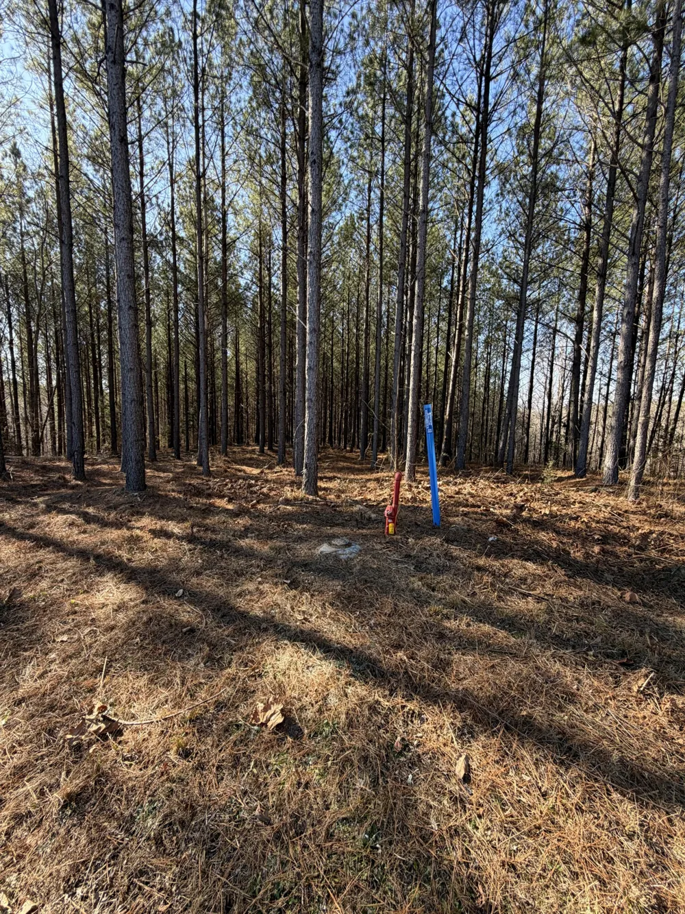 533 Center Ridge Dr Linden, TN 37096