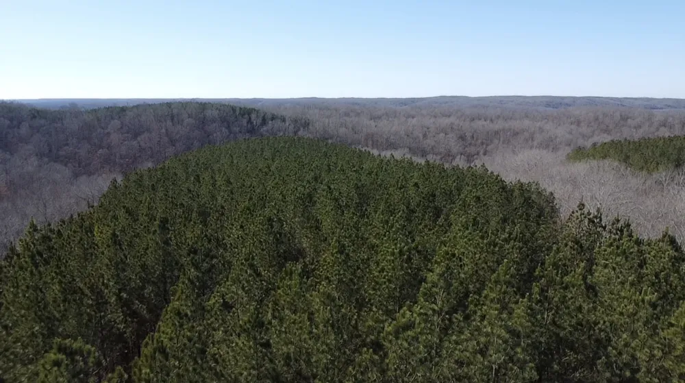 533 Center Ridge Dr Linden, TN 37096