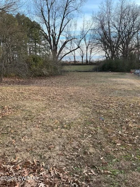 84 Carter St Alamo, TN 38001