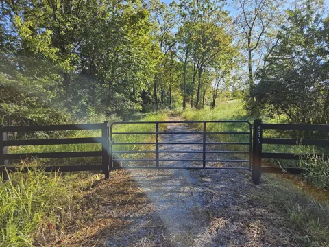 536 Martin Chapel Rd