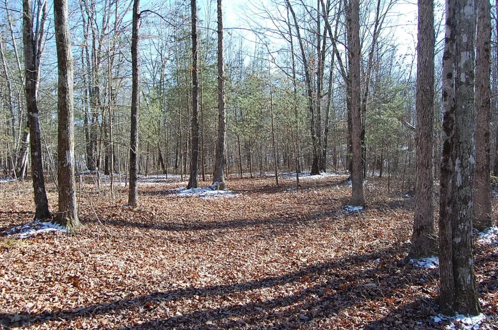340 Bluff View Drive Dunlap, TN 37327