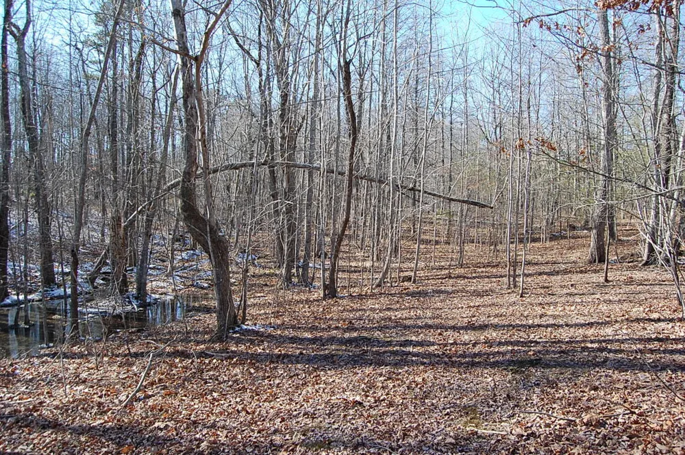 340 Bluff View Drive Dunlap, TN 37327