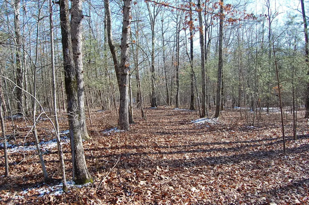 340 Bluff View Drive Dunlap, TN 37327