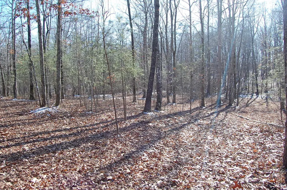 340 Bluff View Drive Dunlap, TN 37327