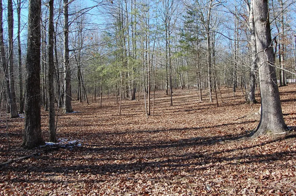 340 Bluff View Drive Dunlap, TN 37327