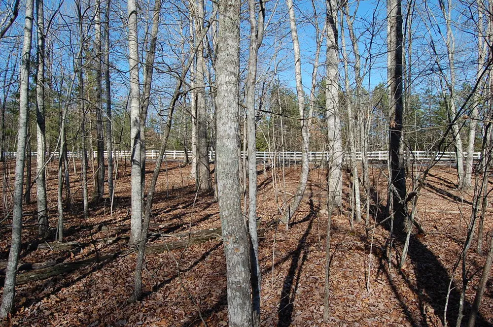 340 Bluff View Drive Dunlap, TN 37327
