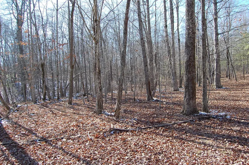 340 Bluff View Drive Dunlap, TN 37327