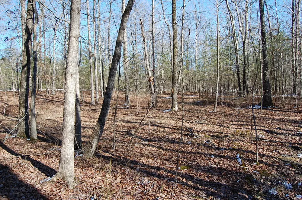 340 Bluff View Drive Dunlap, TN 37327