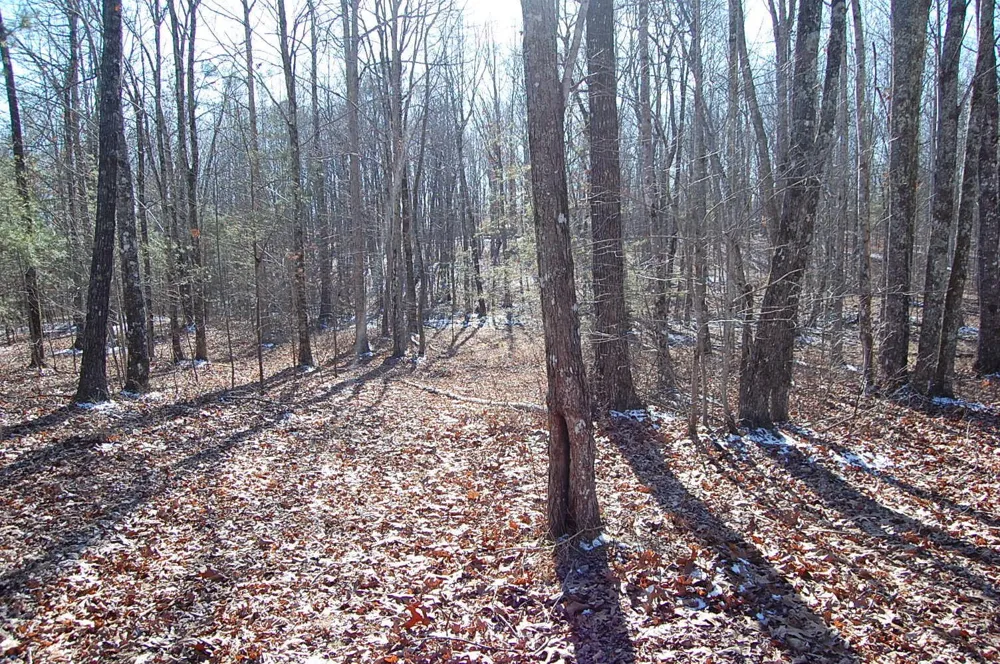 340 Bluff View Drive Dunlap, TN 37327