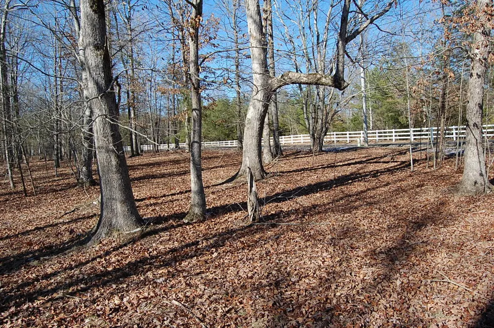 340 Bluff View Drive Dunlap, TN 37327
