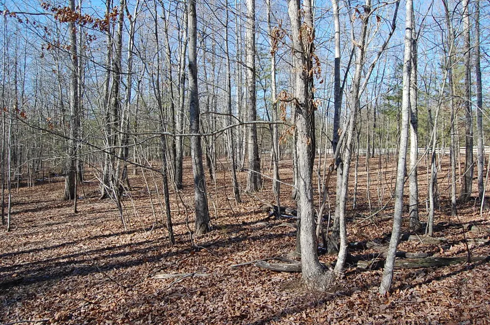 340 Bluff View Drive Dunlap, TN 37327