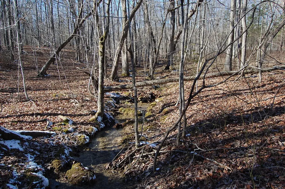 340 Bluff View Drive Dunlap, TN 37327