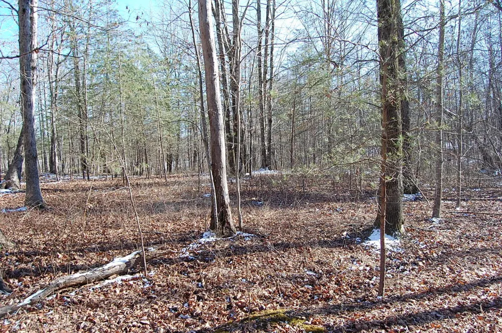 340 Bluff View Drive Dunlap, TN 37327