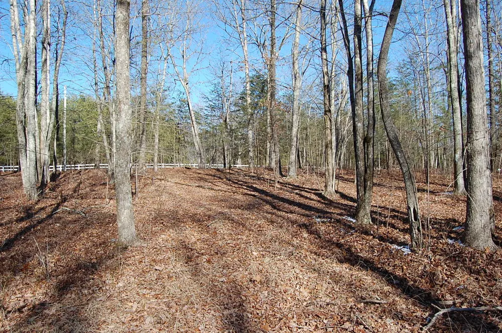 340 Bluff View Drive Dunlap, TN 37327
