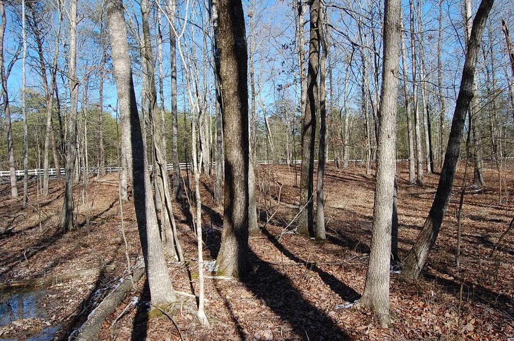 340 Bluff View Drive Dunlap, TN 37327