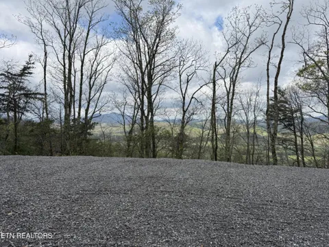 393 Green Forest Rd