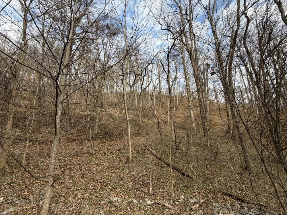 0 Bayside Drive Lancaster, TN 38569