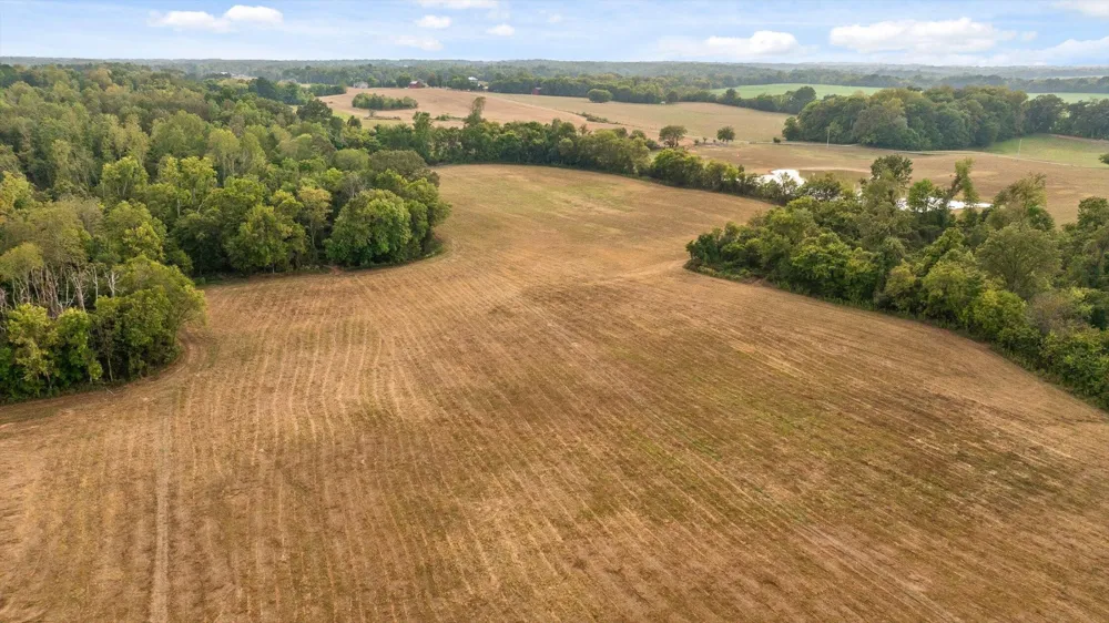 10 Sturgeon Creek Road Cedar Hill, TN 37032