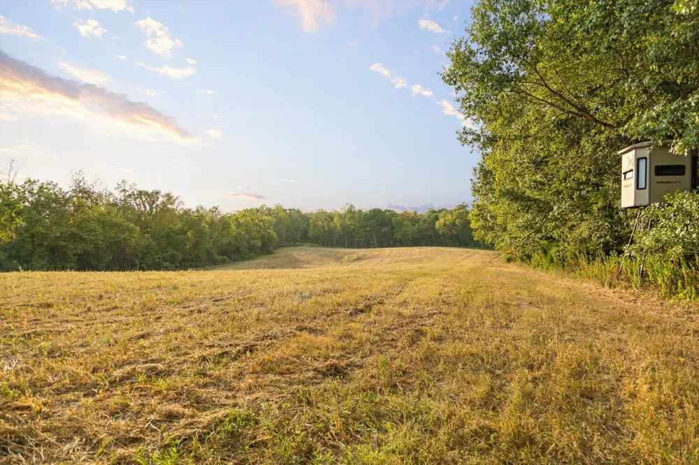 10 Sturgeon Creek Road Cedar Hill, TN 37032