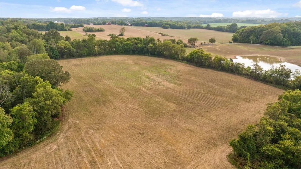 10 Sturgeon Creek Road Cedar Hill, TN 37032