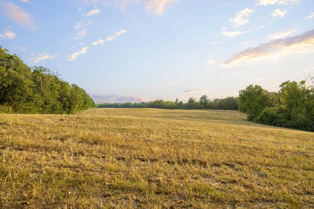 10 Sturgeon Creek Road Cedar Hill, TN 37032
