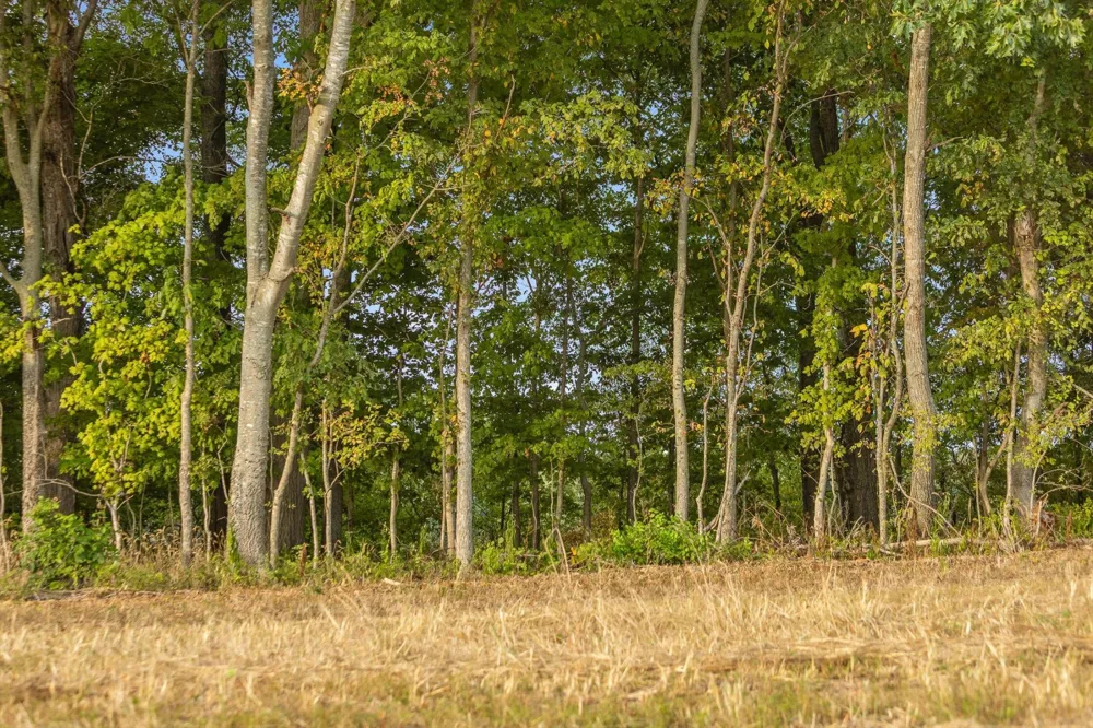 10 Sturgeon Creek Road Cedar Hill, TN 37032
