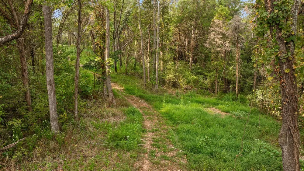 10 Sturgeon Creek Road Cedar Hill, TN 37032