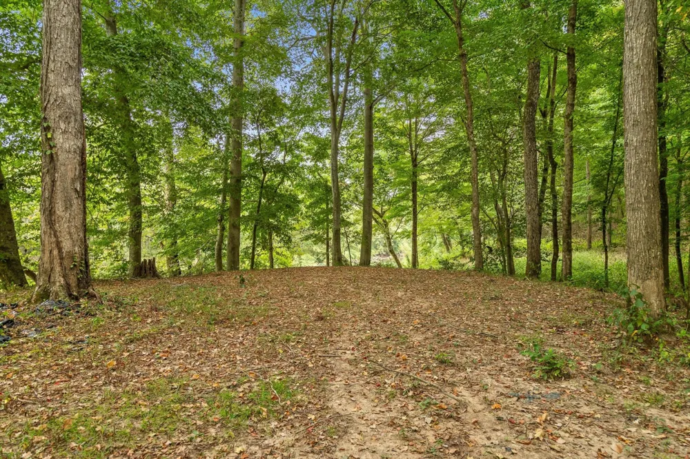 10 Sturgeon Creek Road Cedar Hill, TN 37032