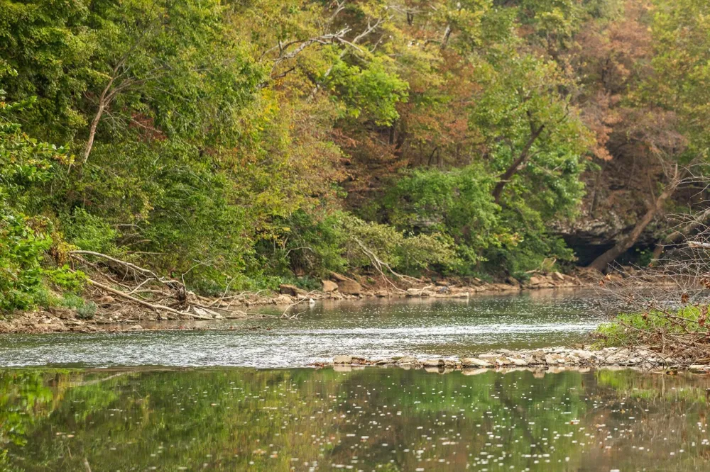 10 Sturgeon Creek Road Cedar Hill, TN 37032