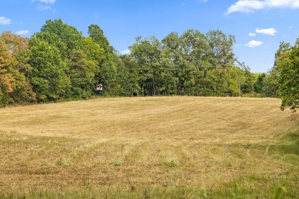 10 Sturgeon Creek Road Cedar Hill, TN 37032