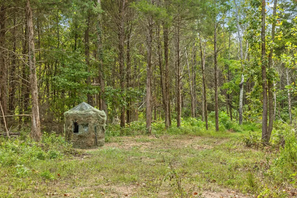 10 Sturgeon Creek Road Cedar Hill, TN 37032
