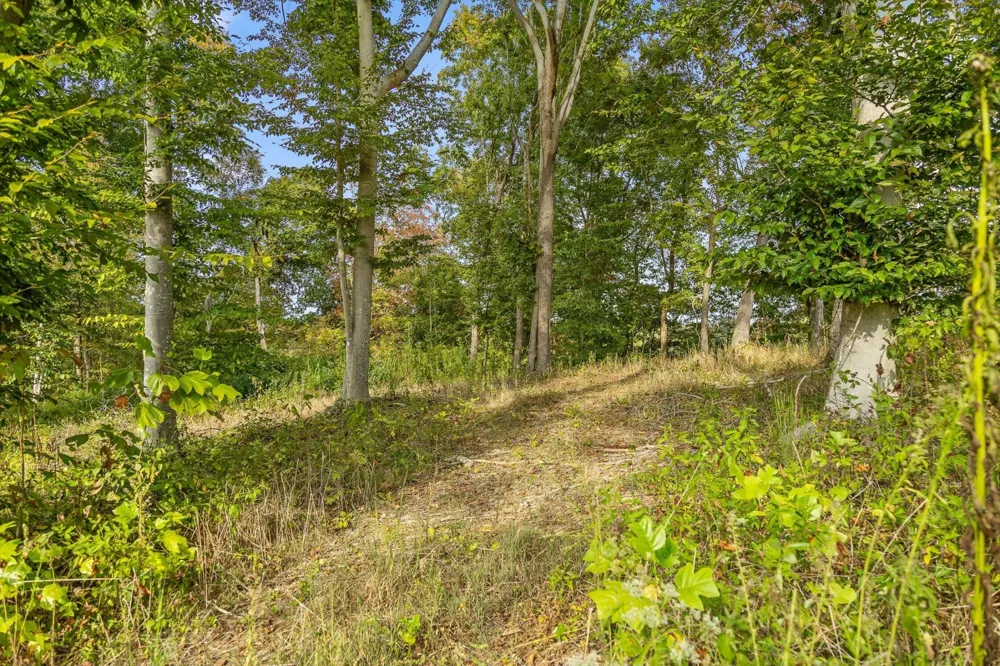 10 Sturgeon Creek Road Cedar Hill, TN 37032