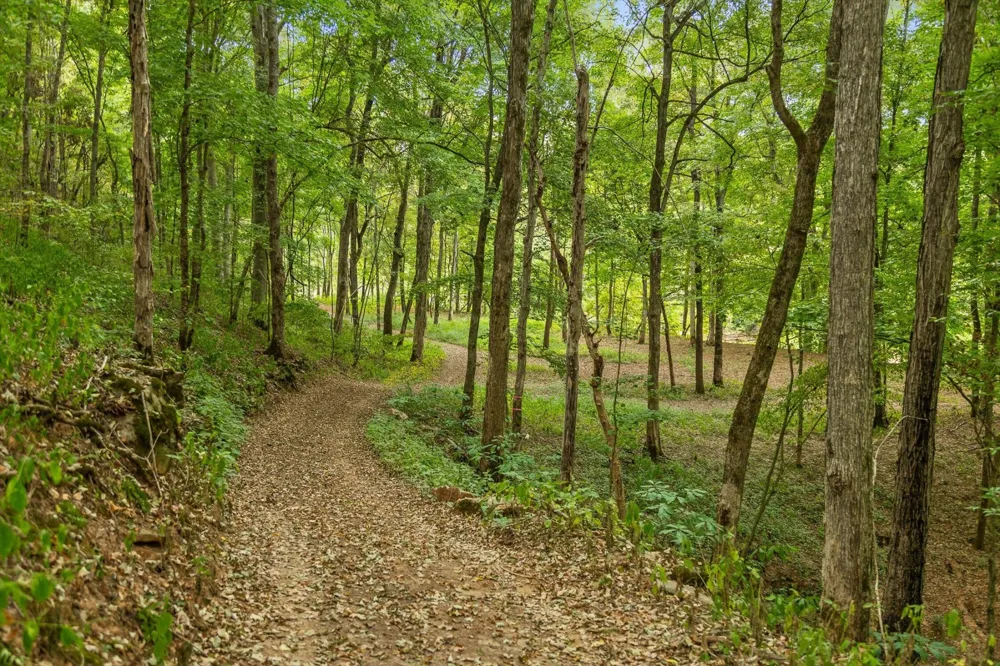 10 Sturgeon Creek Road Cedar Hill, TN 37032
