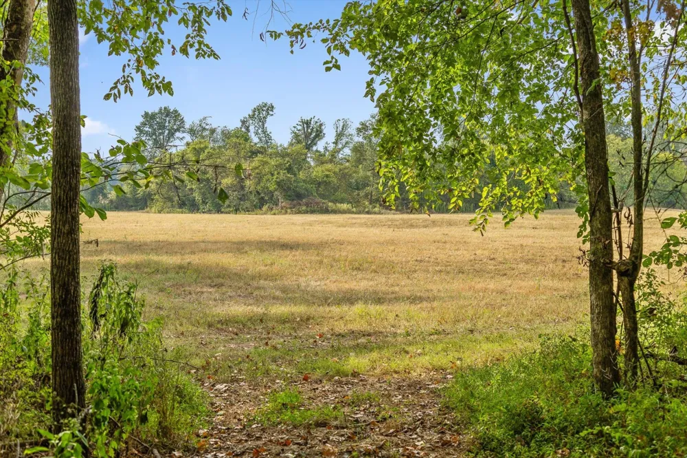 10 Sturgeon Creek Road Cedar Hill, TN 37032