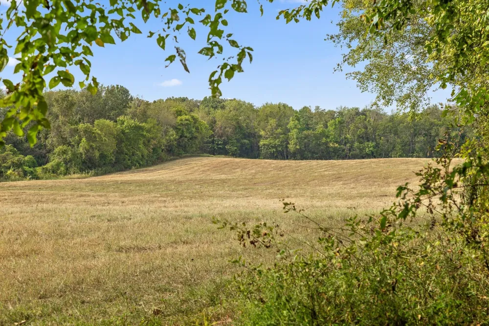 10 Sturgeon Creek Road Cedar Hill, TN 37032
