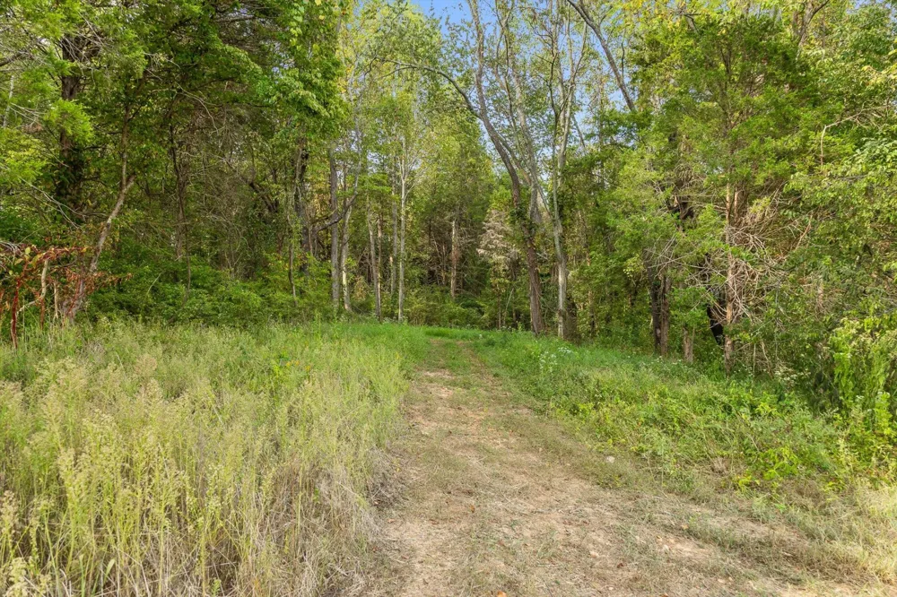 10 Sturgeon Creek Road Cedar Hill, TN 37032