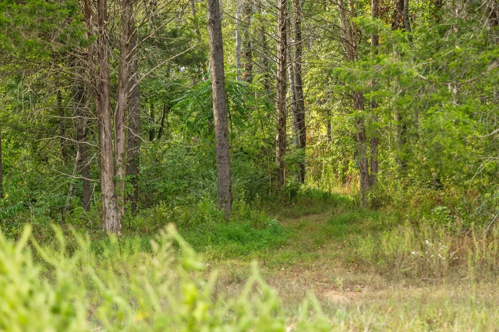 10 Sturgeon Creek Road Cedar Hill, TN 37032