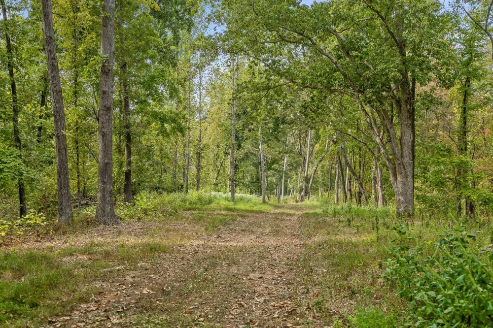 10 Sturgeon Creek Road Cedar Hill, TN 37032