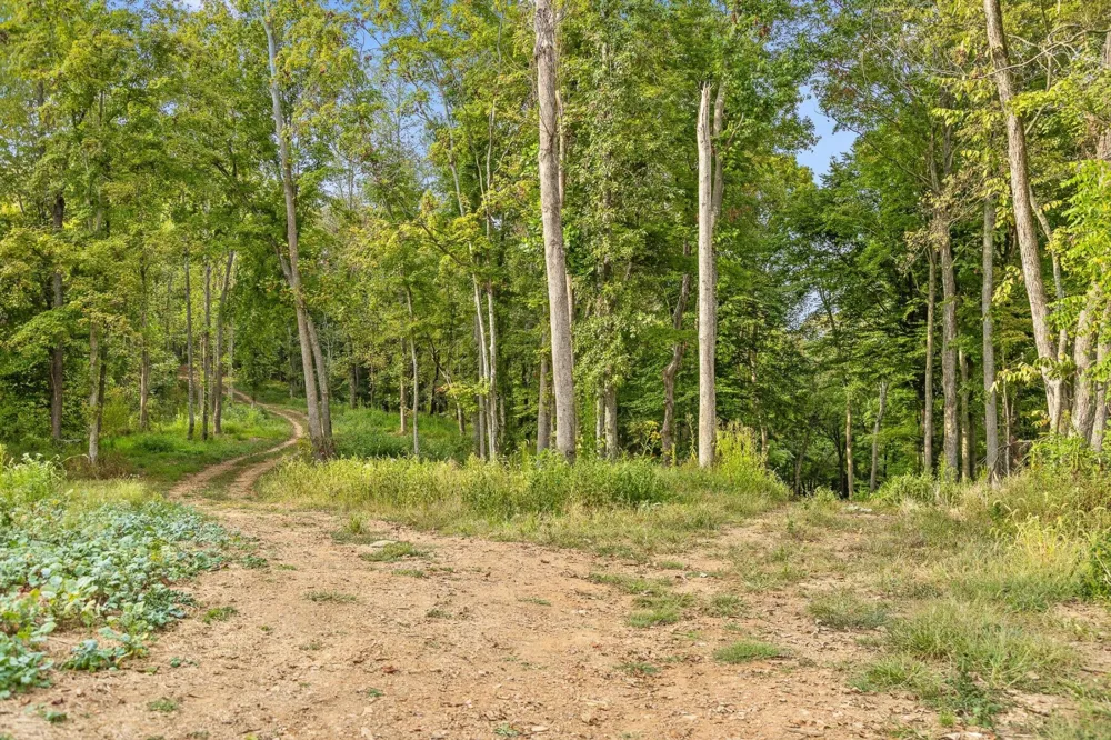 10 Sturgeon Creek Road Cedar Hill, TN 37032