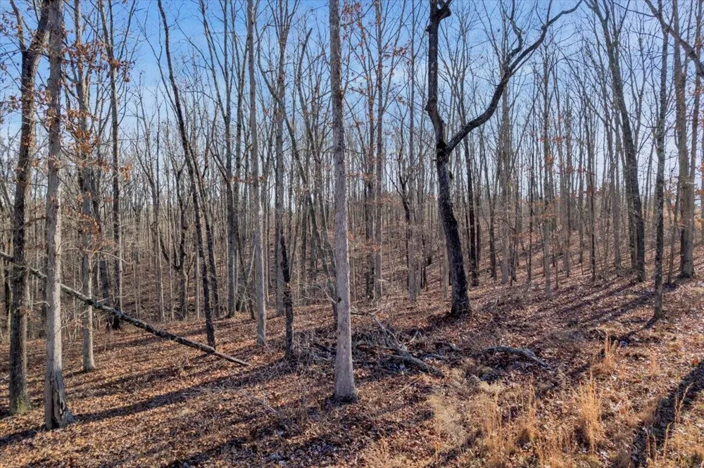 211 Walosi Lane South Pittsburg, TN 37380