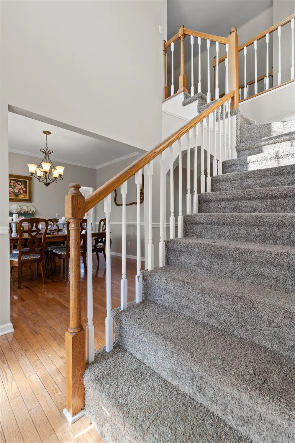 191 Haleys Cove Drive Chickamauga, GA 30707