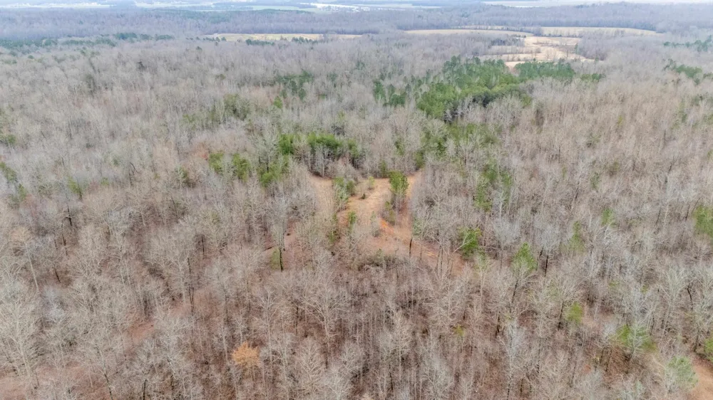 2040 LIBERTY RD Morris Chapel, TN 38361