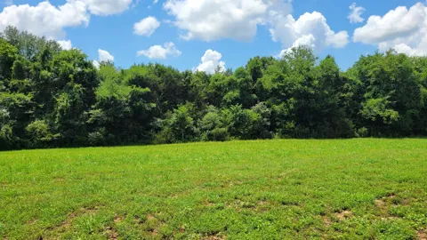 5 Mount Lebanon Church Rd